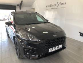 FORD KUGA 2024 (73) at W Milligan & Sons Haverigg