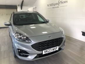 FORD KUGA at W Milligan & Sons Haverigg